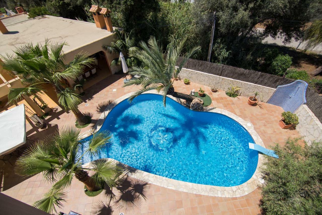 Palmera Pousada