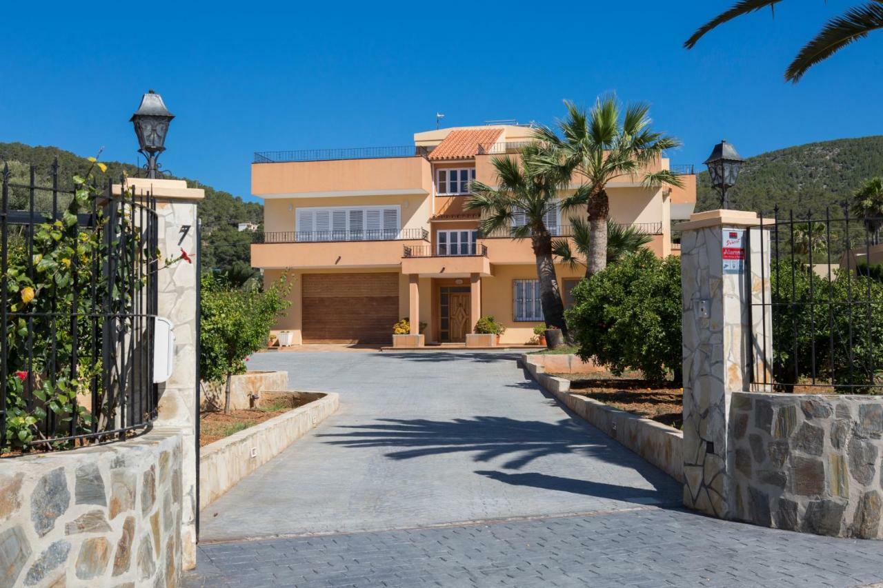 Palmera * Ibiza